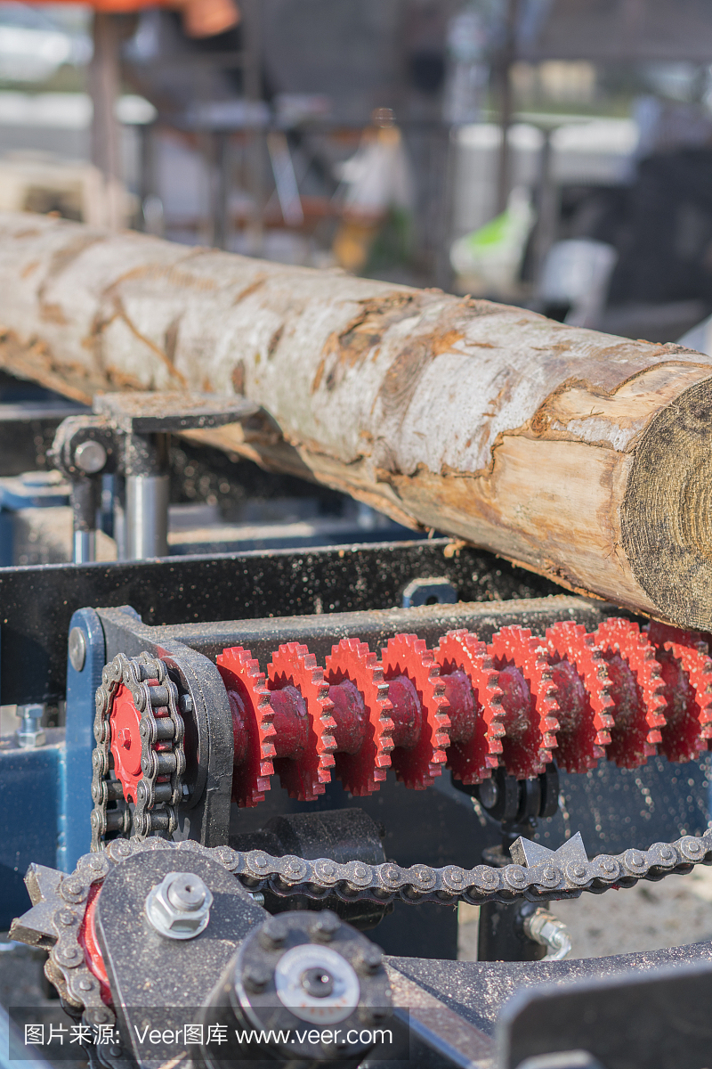木材加工企业。木材切割机。在便携式木材铣床上部分碾碎的原木。垂直图
